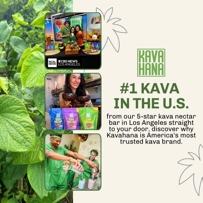 [Australia] - Balance Edition Ceremonial Grade Noble Kava Nectar Powder ‚Äì Supports Calm Focus, Mental Clarity & Mood Stability, Instant Dried Kava Juice 