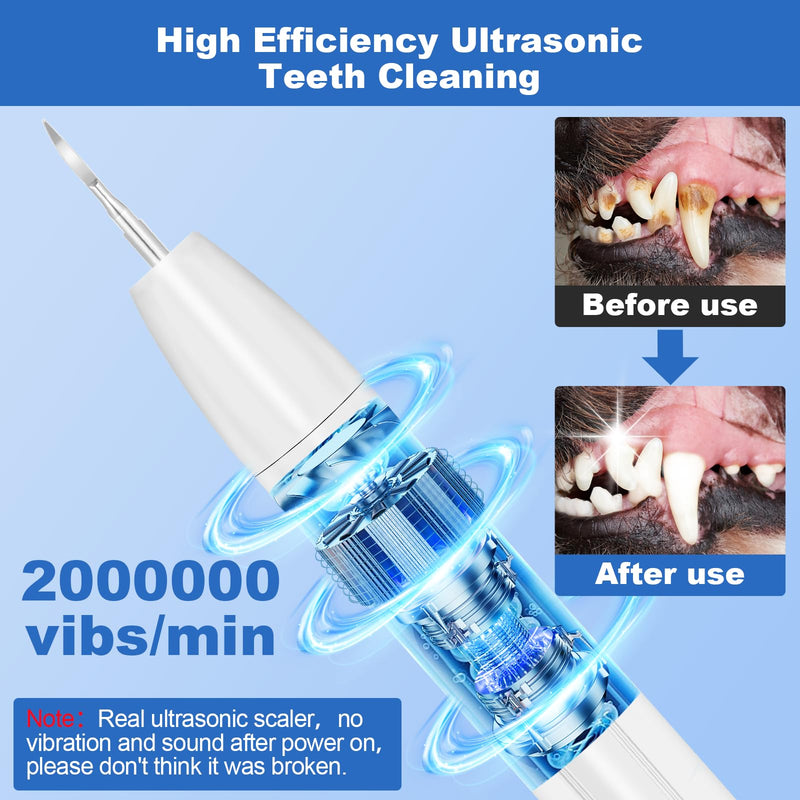 [Australia] - Dog Tooth Brushing Kit, Dogs Teeth Cleaning Kit with Led Light, 3 Modes Doggie Plaque and Tartar Remover, Dental Care for Cat,Low Noise Ultrasonic Dog Teeth Cleaner, White 