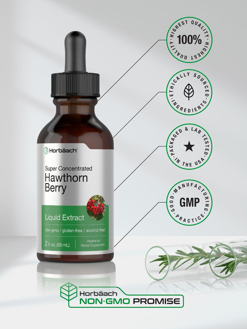 Horbäach Hawthorn Berry Extract | 2 fl oz | Alcohol Free Liquid Tincture | Vegetarian Supplement, Non-GMO, Gluten Free