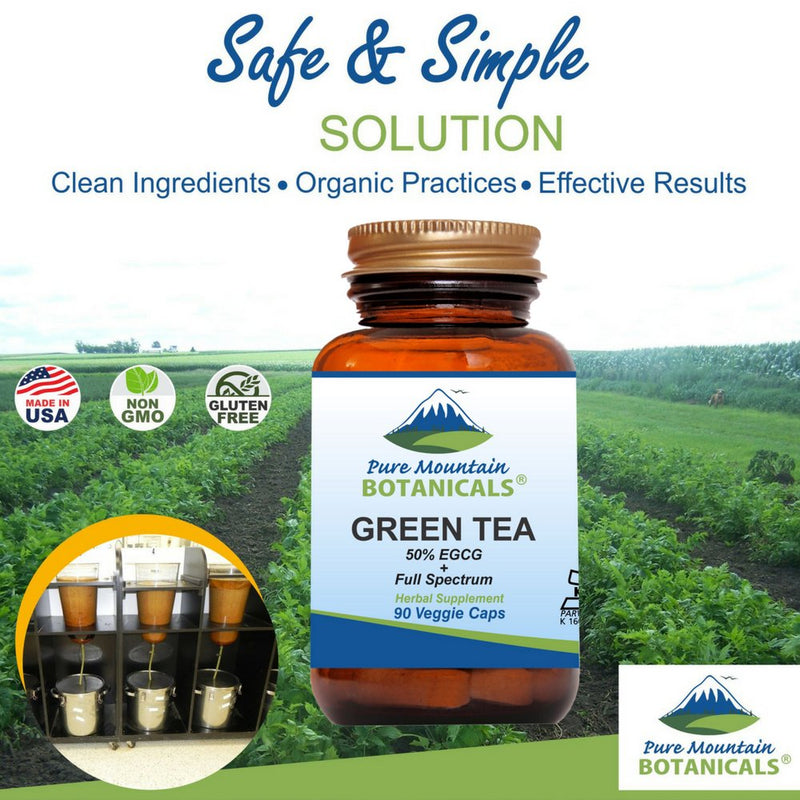[Australia] - Green Tea Capsules - 90 Kosher Vegan Caps with 450mg Organic Full Spectrum and Pure Green Tea Extract 