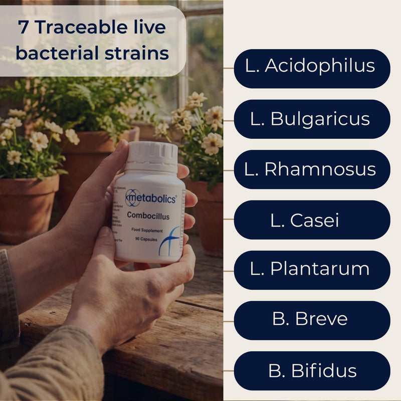 Combocillus Capsules | 7 Key Strains Of Good Bacteria | 10 Billion Live Bio Cultures | Vegan Capsules Made In The UK | Pot Of 90 Capsules | L Bulgaricus, L Acidophilis, L Rhamnosus, L Casei, B Breve, L Plantarum & B Bifidum