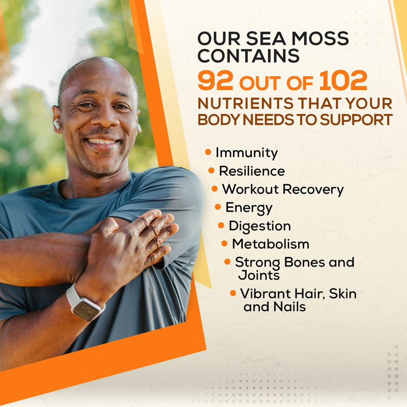 Gold Sea Moss Raw Organic| Makes 160oz of Gel - 100% Wild Crafted| Non-GMO Sun-Dried Mineral Rich Super Food for Energy| Booster Healthy, Immunity Digestion (8oz) Gold 8 Ounce