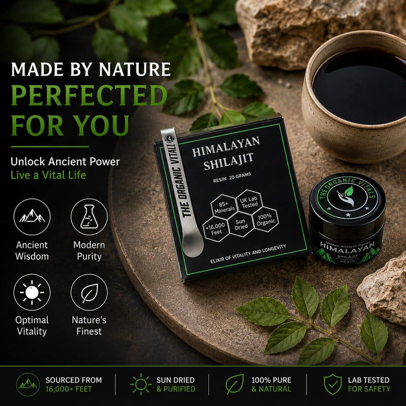 The Organic Vital Himalayan Shilajit Resin – Natural Energy and Vitality Support for Men and Women - 20g - Pure Mineral Supplement for Stamina & Brain Health