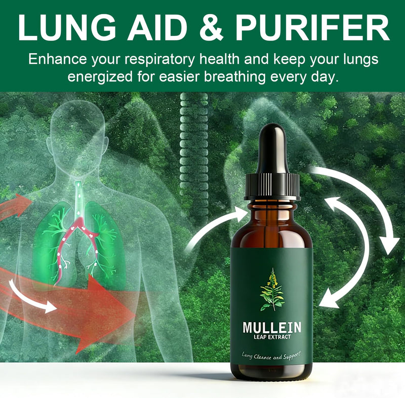 Mullein Leaf Extract Liquid Drops 60ml with Chlorophyll, Super Concentrated Alcohol-Free Tincture for Lung Cleanse & Respiratory Health, Fast Absorption Herbal Supplement