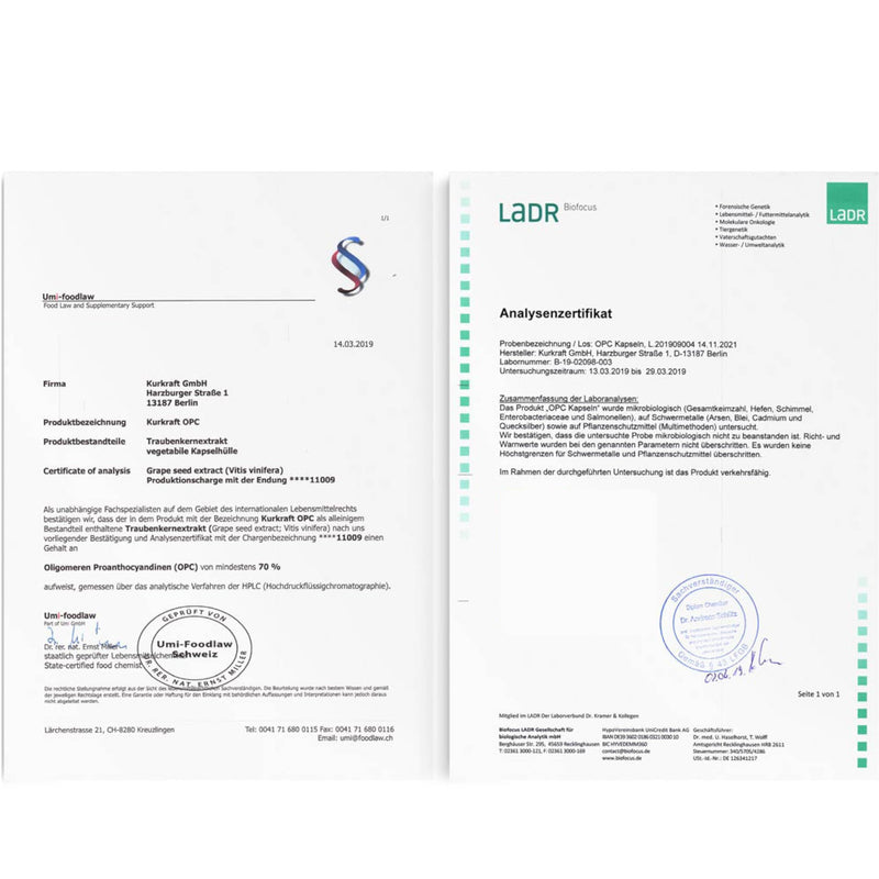 [Australia] - Kurkraft Premium OPC capsules (240 pieces) - 1100 mg grape seed extract with 770 mg OPC per daily dose (HPLC) - French grapes - vegan - without additives - German production 