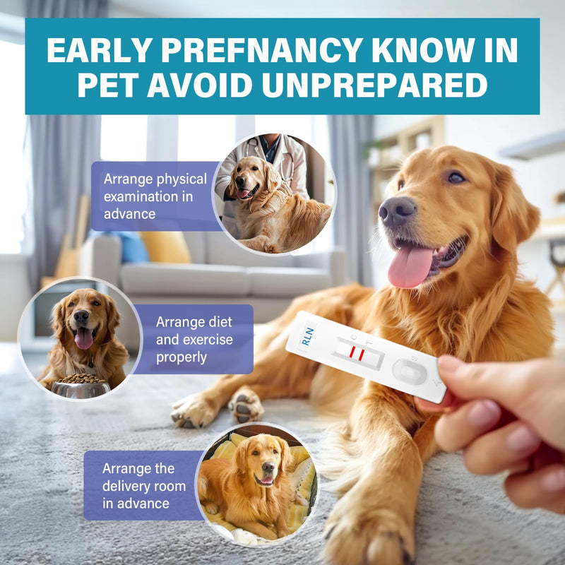[Australia] - Dog Pregnancy Test Kit at Home - Accurate and Fast Dog Pregnancy Test, Convenient & Disposable Pregnancy Tests Strip Blue 