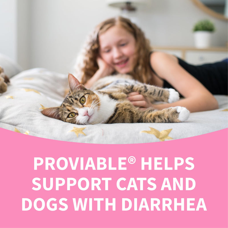 Nutramax Proviable Probiotics + Prebiotics, for Dogs & Cats, Capsules, 80ct | Probiotics and Prebiotics for Cats and Dogs, Daily Gut Health Support Supplement, Multiple Strains, Sprinkle on Food 80 Count