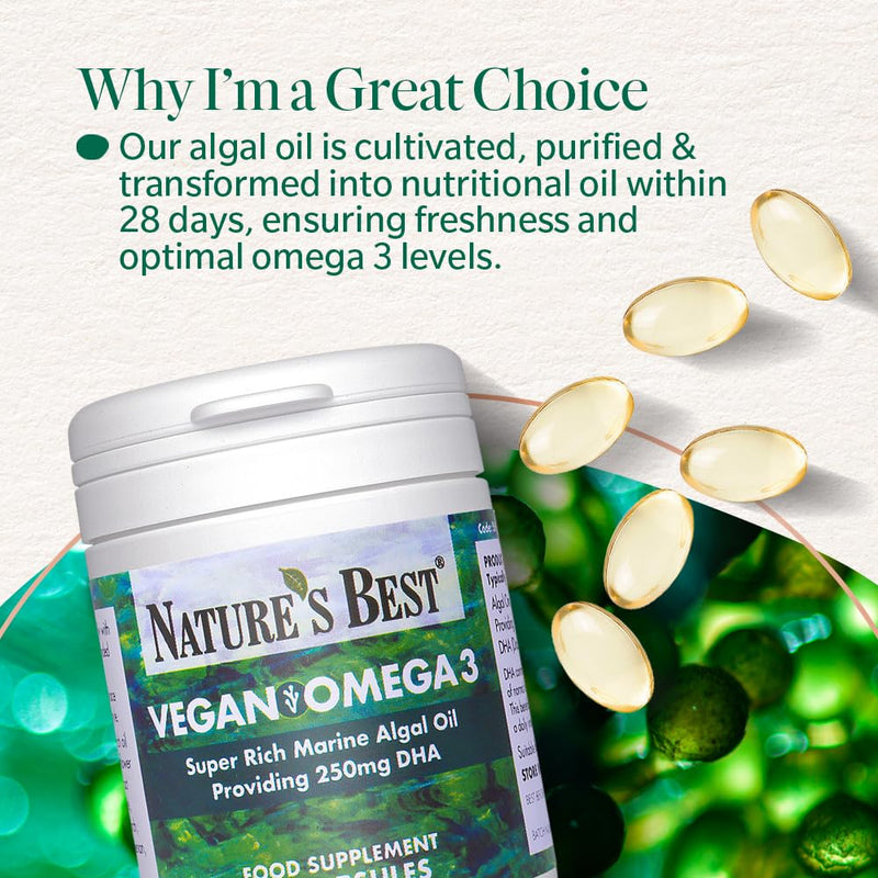 Pure Plant Power: Vegan Omega 3 Oil 625mg - 60 Vegan Capsules, 2-Month Supply | High-Strength DHA, 100% Sustainable, One-A-Day, Contributes to the Maintenance of Normal Vision & Brain Function