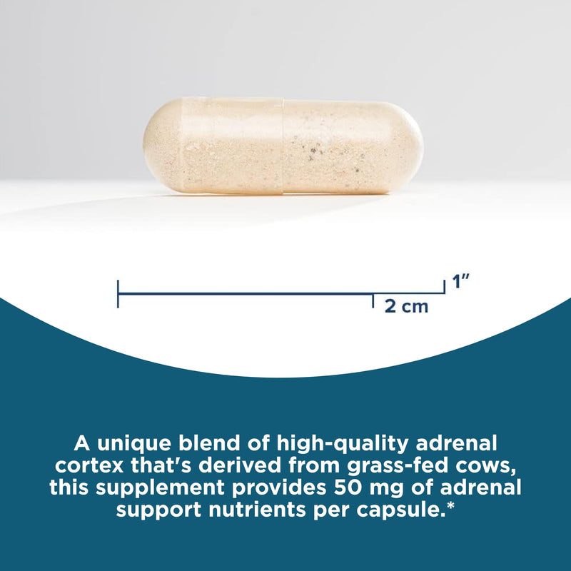 [Australia] - Seeking Health Adrenal Cortex - Adrenal Supplement to Support Healthy Nervous System & Energy - Gluten-Free & Dairy-Free Nervous & Immune System Supplement - 50 mg, 60 Capsules 
