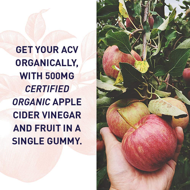 Garden of Life Organics Apple Cider Vinegar Gummies with Vitamin B12 – Organic ACV Gummy Vitamins, Vegan, Gluten-Free, Non-GMO, 60 Gummies | Vitamin B12 - Organic ACV Gummy Vitamins, Vegan, Gluten-Free, Non-GMO