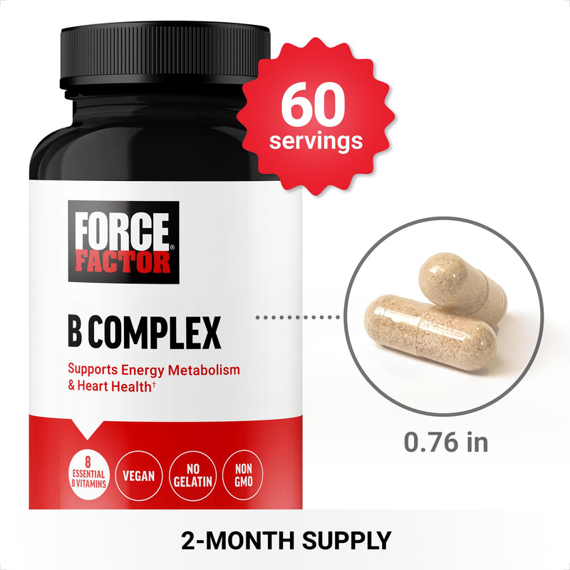 Force Factor Creatine Powder 60 Servings and Vitamin B Complex 60 Capsules Bundle for Muscle Gain, Strength, Energy, and Faster Recovery Nutritional Supplement+ Vitamin B Complex