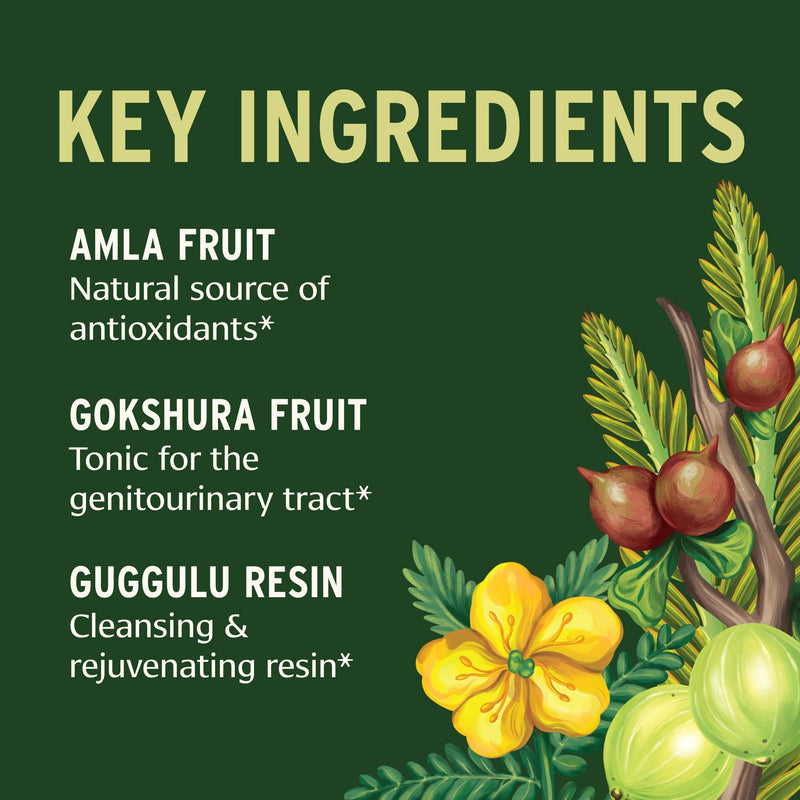 [Australia] - Banyan Botanicals Gokshuradi Guggulu Powder ‚Äì Organic Ayurvedic Supplement with Guggulu & Gokshura ‚Äì for Healthy Urinary Tract and Kidney Support* ‚Äì 3.5 oz ‚Äì Non-GMO Sustainably Sourced Vegan 