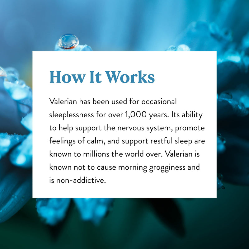 [Australia] - Nature's Sunshine Valerian Root, 100 Capsules | Herbal Supplement Promotes Relaxation, Supports Sleep, and Delivers Natural Nervous System Support 