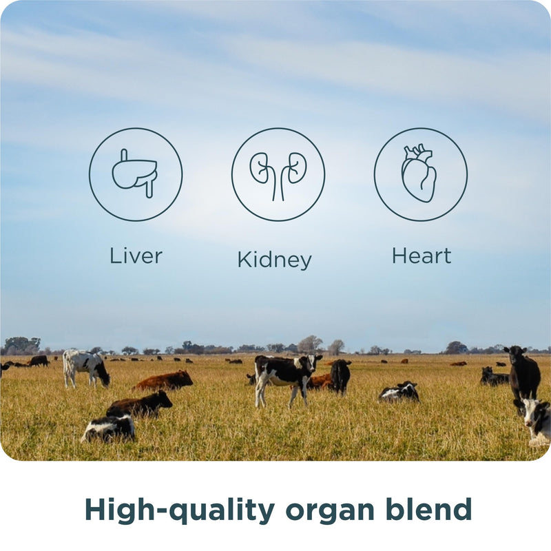 [Australia] - Ancient Nutrition Organ Supplements, Grass-Fed and Wild Organ Complex Capsules, Liver, Heart, Kidney Supports Organ, Cognitive, and Immune System Health, 180 Ct Organs Blend 