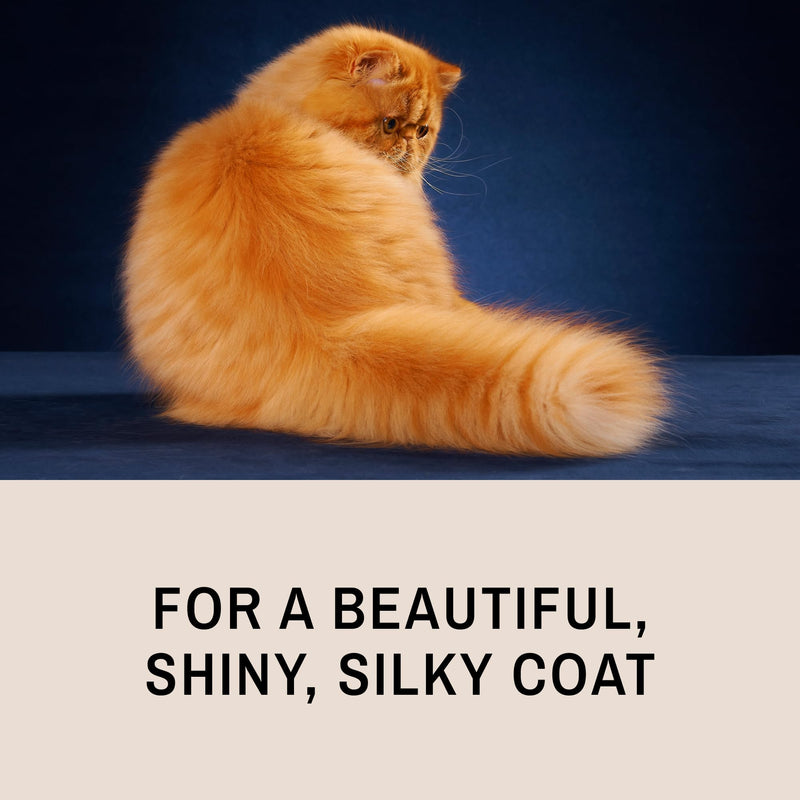[Australia] - Eye Envy ProGlide Deshedding and Detangling Comb for Long-Haired Cats | Remove Undercoat, Excess Hair, Tangles & Knots | 6" Dual-Tooth Comb with Rounded Pins 