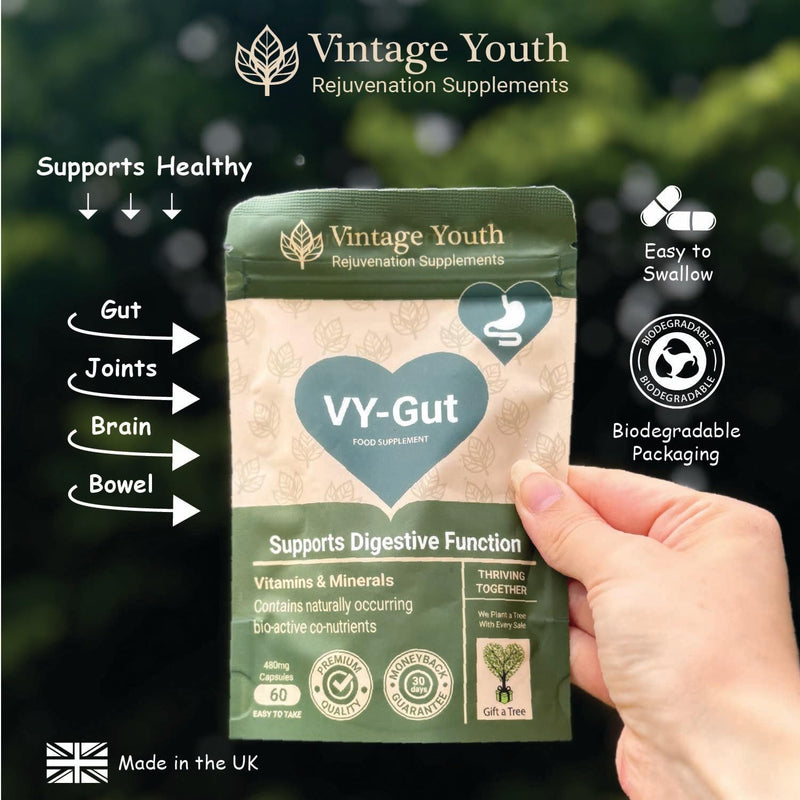 Digestive Enzyme & Prebiotic Supplement | Gut Health, Bloating & Gas Relief | With L-Glutamine, FOS, Bromelain, Lipase & Protease | Supports Digestion, Gut Flora & Nutrient Absorption | Vegan Capsules