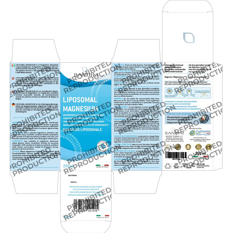 Bandini® Liposomal Magnesium Liquid | High Strength, Bioavailability & Absorption | Reduces Stress, Tiredness, Headaches, Nervousness, Constipation & Promotes Relaxation | Vegan, Non-GMO | 250ml