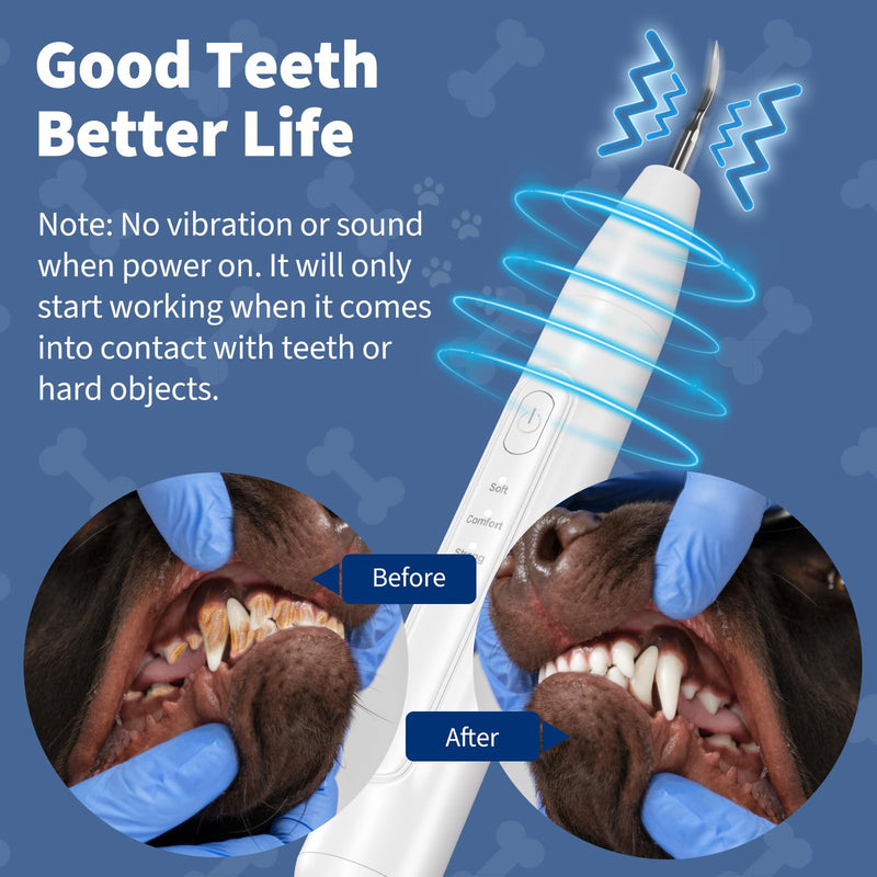 [Australia] - Dog Plaque Remover - Pet Sonic Teeth Cleaner with LED Light -Teeth Cleaning Kit for Tartar and Stains -Suitable for Dogs（White） White 