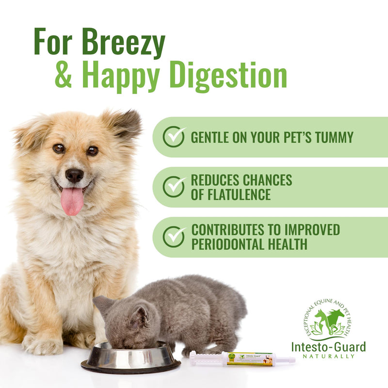 Intesto Guard Probiotics Paste 60ML/60cc Tube for Dogs & Cats Helps with Dog Diarrhea, Immune Supplements, with IgY antibodies & Made in USA - PawsPlanet Australia