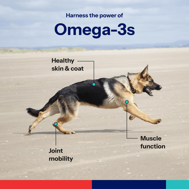 Omega-3 Soft Gels for Large Dogs – Essential Fatty Acids with Vitamins A, E & D3 – Skin, Coat & Joint Supplement – 60 Count Large/X-Large - 60 count