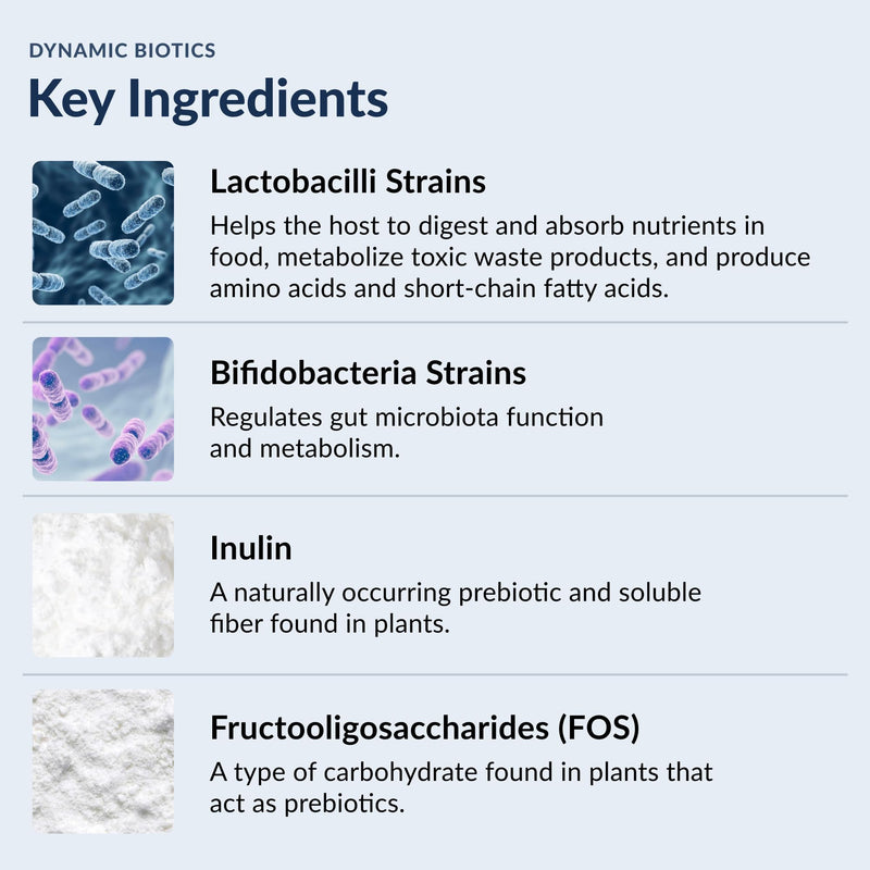 [Australia] - Stonehenge Health Probiotics 55 Billion CFU - 16 Strains, Prebiotic, Synbiotics Dynamic Biotics - Lactobacillus Acidophilus, Delayed Release, Shelf Stable, Non-GMO Gluten Free Veggie Capsule 30 Count (Pack of 1) 