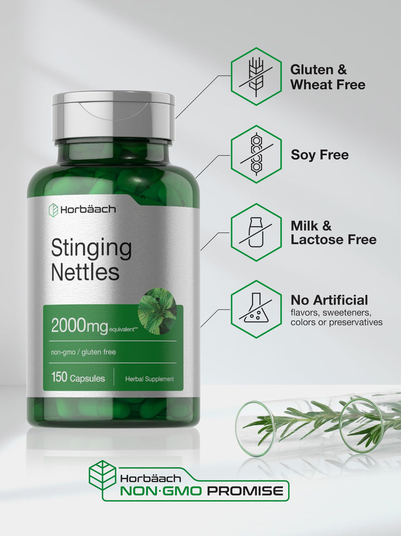 Horbäach Stinging Nettle Capsules 2000mg | 150 Count | Herbal Leaf Extract Supplement | Non-GMO, Gluten Free