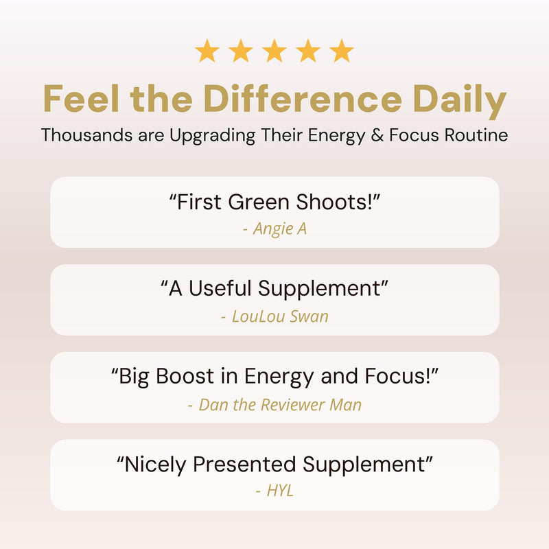 Liposomal NAD+ 300mg Supplement – High Absorption NAD Plus Capsules for Cellular Energy, Healthy Ageing, Brain Health & Mitochondrial Support – Vegan, Non-GMO, Gluten Free – 30 Capsules
