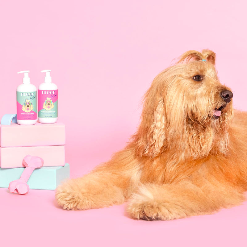 Everydog Nourishing Dog Conditioner for All Coat Types, Detangles, Made with Aloe, Oat Milk, Plant Based Emolients, No Sulfates, No Parabens (16 oz) - PawsPlanet Australia