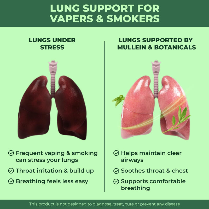 Mullein Lung Support 60 Gummies. 6 in 1 Botanical Blend with Elderberry, Marshmallow Root & Licorice Root Extract, Quercetin and Bromelain Strawberry 1 Pack - 60 Gummies
