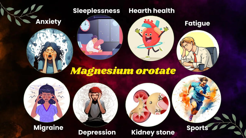 VITA PHARMA Magnesium Orotate 500mg 240 Tablets, Muscle & Nerve Function, Energy & Metabolism, Bone & Joint Health, Mental Calm & Relaxation