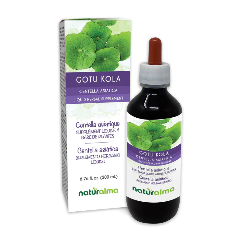 [Australia] - Naturalma Gotu kola (Centella asiatica) herb Alcohol-Free Tincture - 6.76 fl oz Liquid Extract in Drops - Herbal Supplement - Vegan 6.76 Fl Oz (Pack of 1) 