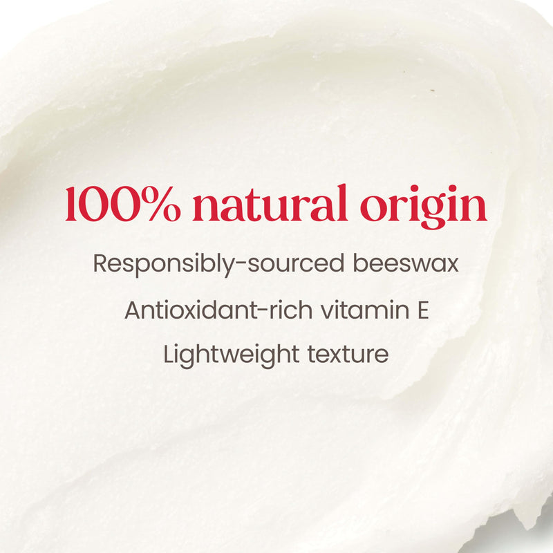 Burt's Bees Lip Balm, Vanilla Bean, Lip Moisturizer With Responsibly Sourced Beeswax, Tint-Free, Natural Conditioning Treatment, 1 Tube, 0.15 oz. 1 Count (Pack of 1)