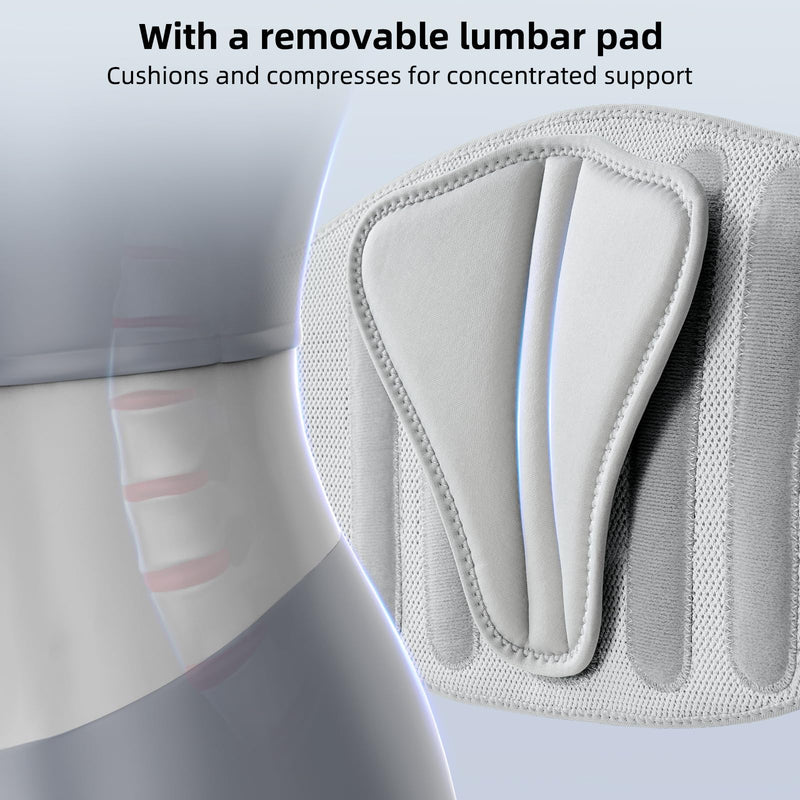 [Australia] - FREETOO Back Brace for Lower Back Pain Women with Bionic Support System, Adjustable Knitted Lumbar Support Belt, Breathable Mesh Design with Lumbar Pad,for Herniated Disc,Sciatica,Scoliosis Maximum Level Lumbar Support Medium 