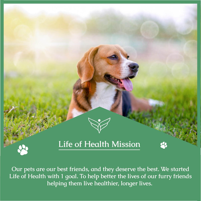 Quercetin for Dogs - Quercetin for Dogs Allergies - Dog Allergy Support - Dog Allergy - Quercetin - Quercetin Dog - Dog Allergies - Quercetin Supplements - Dog Allergy Relief - 1 fl oz - PawsPlanet Australia
