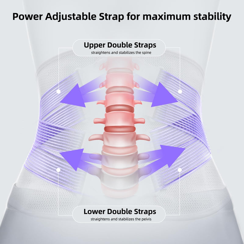 [Australia] - FREETOO Back Brace for Lower Back Pain Women with Bionic Support System, Adjustable Knitted Lumbar Support Belt, Breathable Mesh Design with Lumbar Pad,for Herniated Disc,Sciatica,Scoliosis Maximum Level Lumbar Support Medium 
