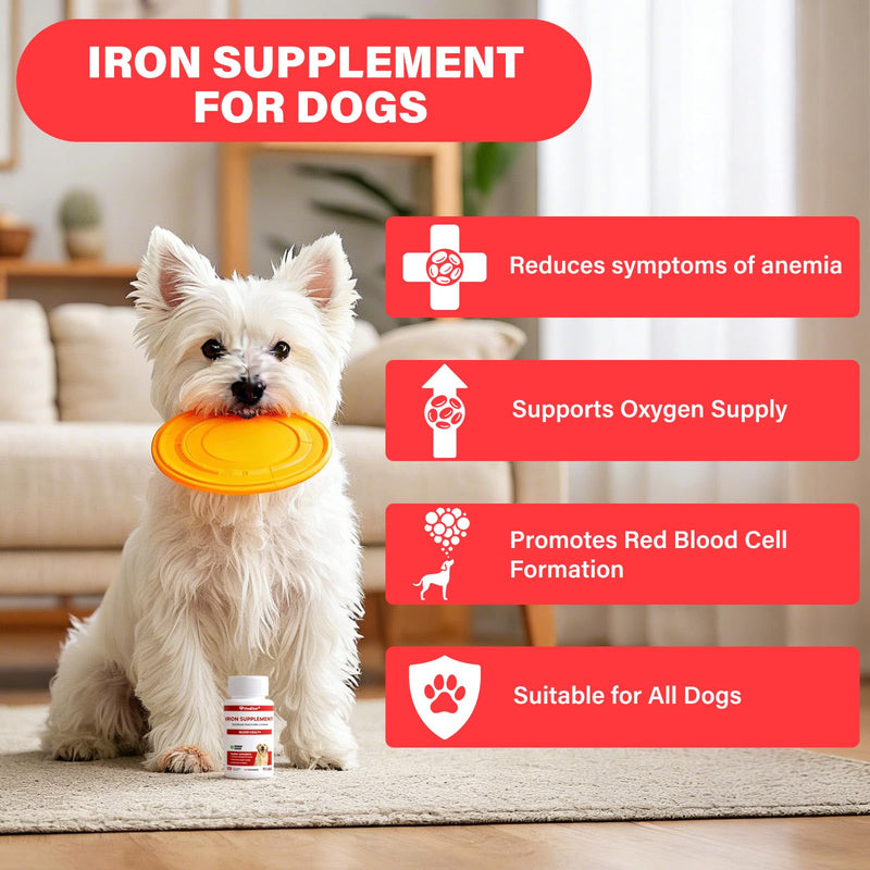 Iron Supplement for Dogs, – Supports Blood Health, Red Blood Cell Formation & Oxygen Supply, for Anemia, Vitamin C, Folate, Vitamin B12, Boost Energy, and Improve Blood Circulation, 120 Tablets