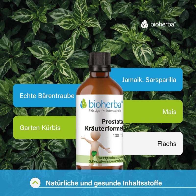 [Australia] - BIOHERBA 2 prostate herbal formula drops - 100ml tincture - supports macronutrient, acid-base and carbohydrate metabolism, vegan - with zinc and plant extracts - PZN 18215818 2 pieces 