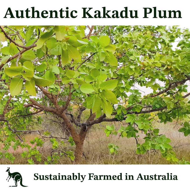 Vitamin C Serum, Pure Kakadu Plum Oil 2oz