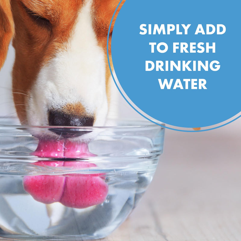 PetSilver Teeth & Gum Water Additive for Dental Care - Dog Breath Freshener - Targets Tartar, Plaque & Eliminates Bad Breath - Cat Oral Care & Dog Teeth Cleaning - No Brushing & Tasteless - 12 fl oz - PawsPlanet Australia