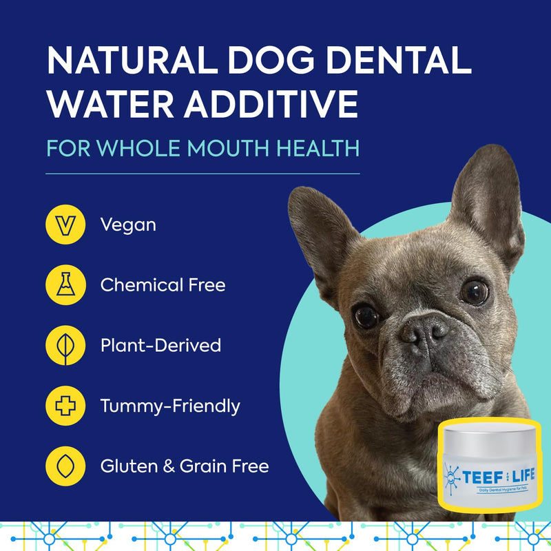 Protektin42 Plant-Derived Prebiotic Dental Powder for Dogs, Daily Dental Care, Clinically-Proven Formula Naturally Fights Plaque and Tartar, Refill Packet with 30 Servings Refill Packet (30 Servings) - PawsPlanet Australia