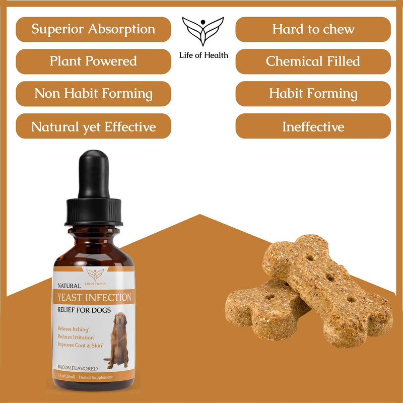 Natural Yeast Infection Treatment for Dogs | Supports Healthy Itch Relief, Inflammation Relief, Allergy Relief & More | Dog Yeast Ear Infection Treatment | Dog Itch Relief | Dog Allergy Relief - PawsPlanet Australia