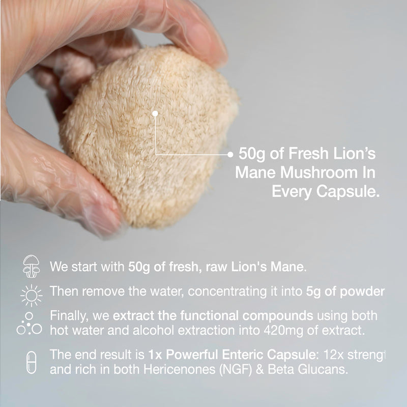 Organic Lions Mane Supplement | 12X Strength | NGF | 3 Month Supply | Dual Extract | Soil Association Certified | 1% Hericenones | 40% Beta-Glucans