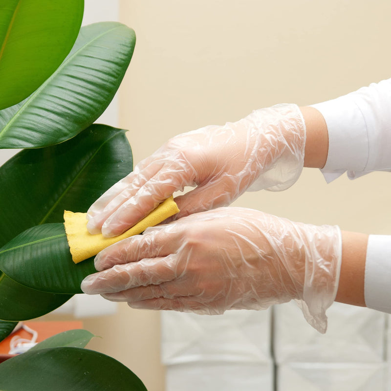 [Australia] - Schneider Clear Vinyl Exam Gloves, Latex-Free, Disposable Medical Gloves, Cleaning Gloves, Food Safe, Powder-Free, 4 mil Medium (Pack of 100) 