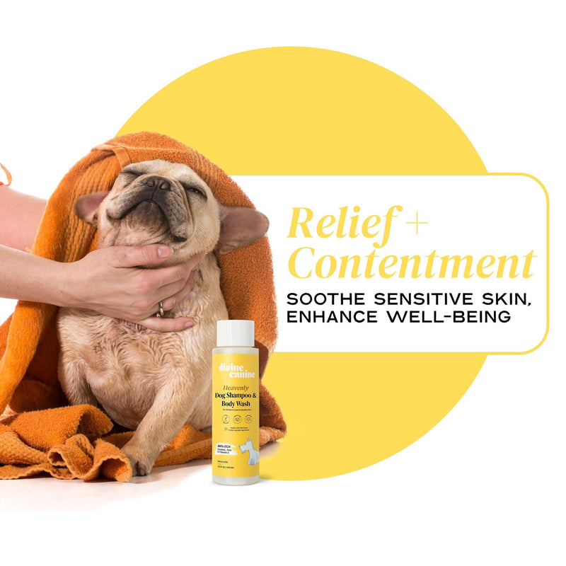 Heavenly Dog Shampoo & Body Wash - Anti-Itch - Dog Shampoos - pH Balanced Conditioning Dog Bath Blend with Collagen, Aloe, Coconut Milk, Vitamin E - Soothe Itchy Skin & Coat - 13.5oz - PawsPlanet Australia
