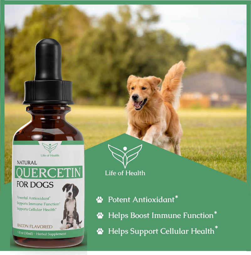 Quercetin for Dogs - Quercetin for Dogs Allergies - Dog Allergy Support - Dog Allergy - Quercetin - Quercetin Dog - Dog Allergies - Quercetin Supplements - Dog Allergy Relief - 1 fl oz - PawsPlanet Australia