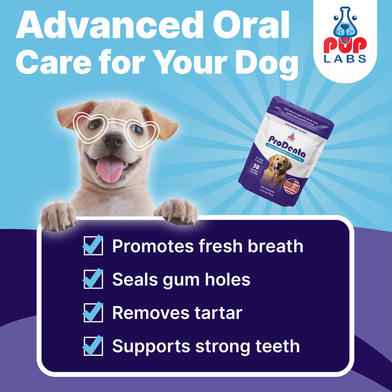 ProDenta, All-Natural Dog Breath Freshener, Easy-to-Use Dog Teeth Cleaning Powder Against Leaky Gums, Dental Powder for Dogs Teeth and Tartar Remover Made in USA, 30 Scoops 1-Pack 2.75 oz - PawsPlanet Australia