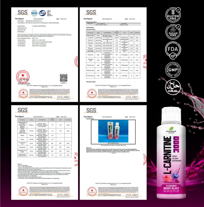 L-Carnitine Liquid 3000mg Per Serving | High Strength Liquid Carnitine | Energy & Metabolism Support | 31 Servings | Sugar Free, Vegan | Strawberry