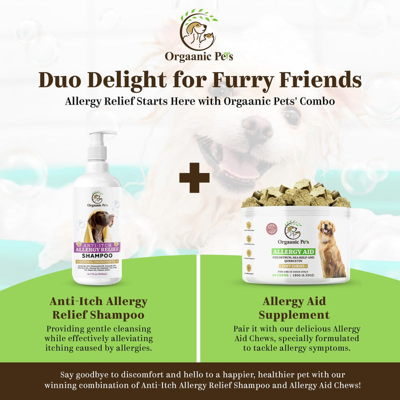 Anti-Itch Dog Shampoo: with 9 Natural Essential Oils and Ingredients - RELIEVES discomfort from Skin Allergies -Moisturizing - Anti-inflammatory - Calming - PawsPlanet Australia