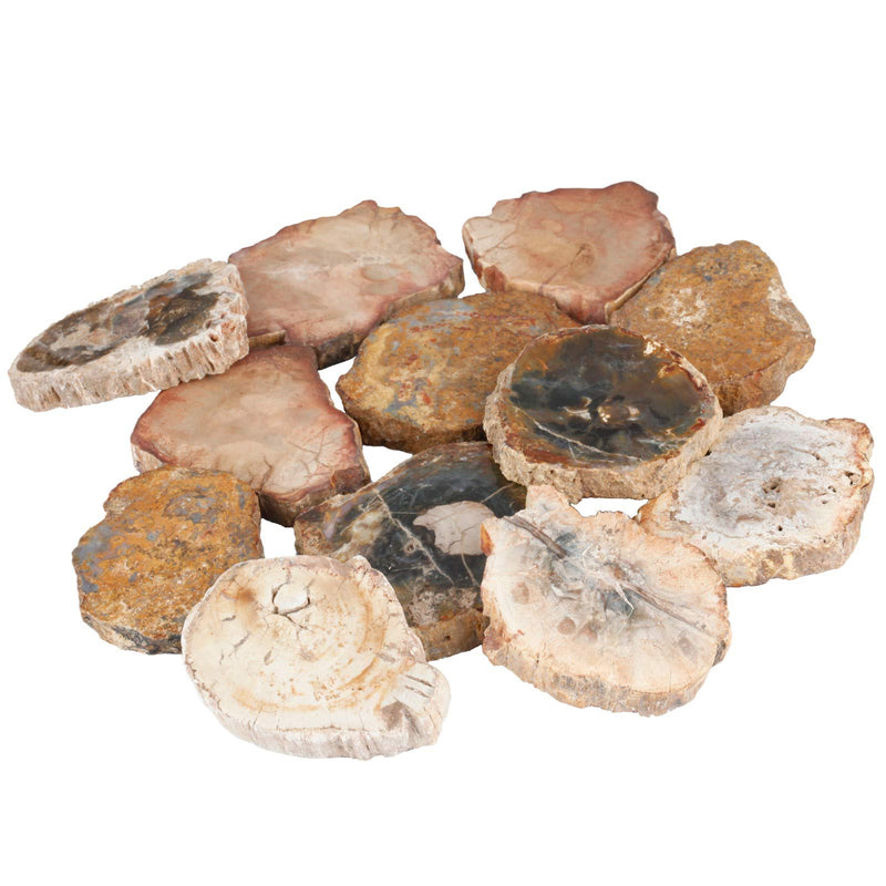 SUNYIK 1.5"-3" Pack of 4 Irregular Natural Petrified Wood Slab Slice | Raw Petrified Wood Stone Mineral Specimen, Healing Crystal Slab Wood Piece for Meditation Home Office Decor Altar Collection
