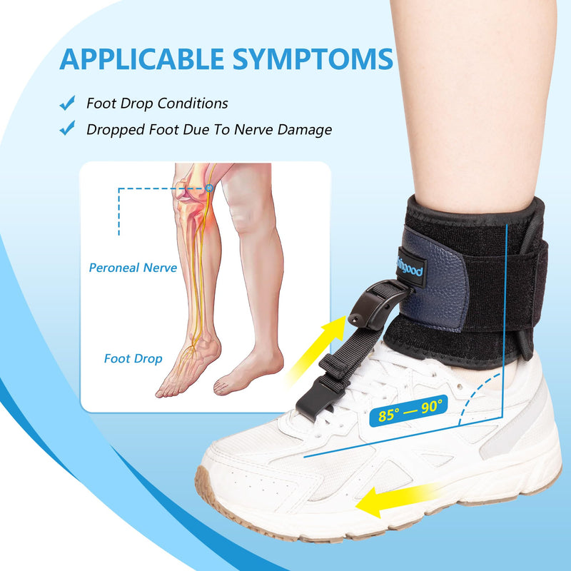 [Australia] - joingood AFO foot lift orthosis for walking, foot splint with shoes for foot drop, orthosis foot lift weakness for Achilles tendon, stroke, dorsiflexion of the foot, foot orthosis for left & right (L/XL) L/XL 